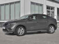 Пороги труба d42 с листом (Лист алюм, проф.сталь) (вариант 2)  RENAULT ARKANA 2019-