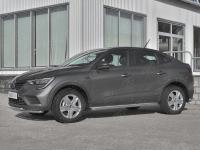 Пороги труба d42 с листом (Лист нерж, проф. нерж) (вариант 3)  RENAULT ARKANA 2019-