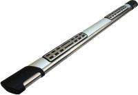 Пороги алюминиевые (Emerald silver ) Toyota RAV4 (Тойота РАВ4) (короткая база)(2006-2013)