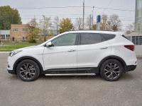 Пороги труба d63 секции (вариант 2) HYUNDAI SANTA FE PREMIUM 2015-2017