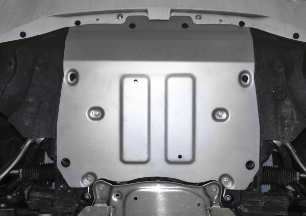 Фото Защита радиатора и картера Rival для BMW X5 G05 (30d; 40i; M50d; 50i) 2018-н.в., алюминий 4 мм, с крепежом, 333.0533.1