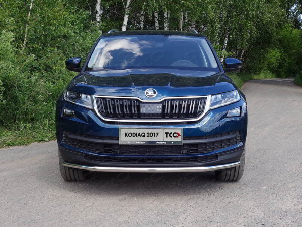 Фото Защита передняя нижняя 42,4 мм для Skoda Kodiaq 2017-