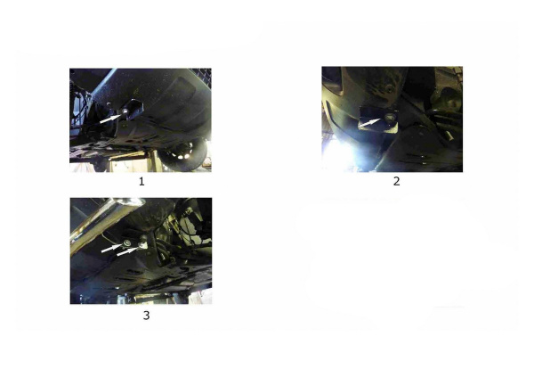 Фото Защита переднего бампера d57+d42 с профильной защитой картера Nissan Terrano 2014-