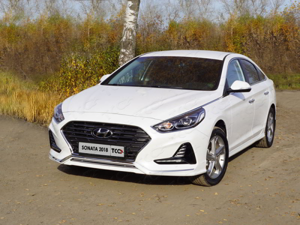 Фото Решетка радиатора нижняя 12 мм для Hyundai Sonata 2018-